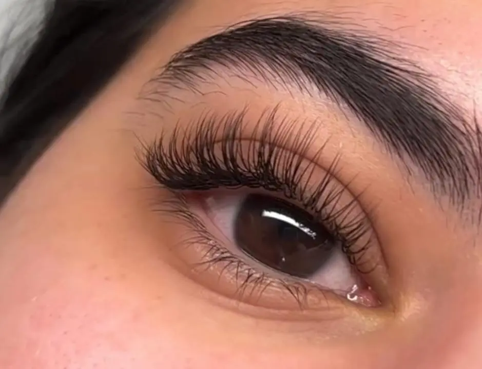 Wimpernverlängerung mit vollem, dunklem Wimpernkranz